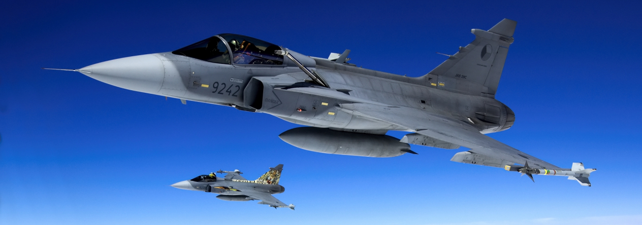 Jas-39_Gripen.jpg