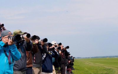 spotter.jpg